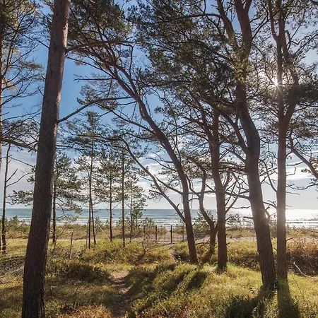 Sunny * Binz