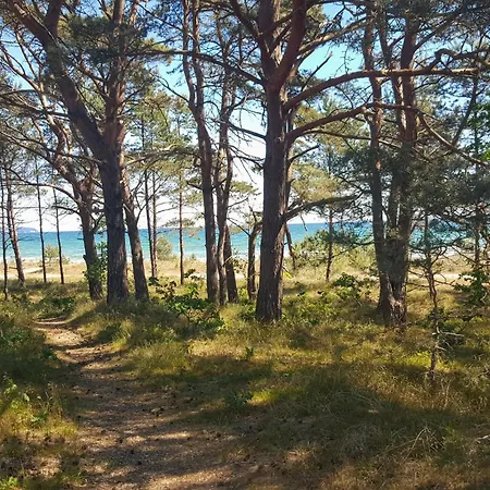 Lägenhet Sunny Binz